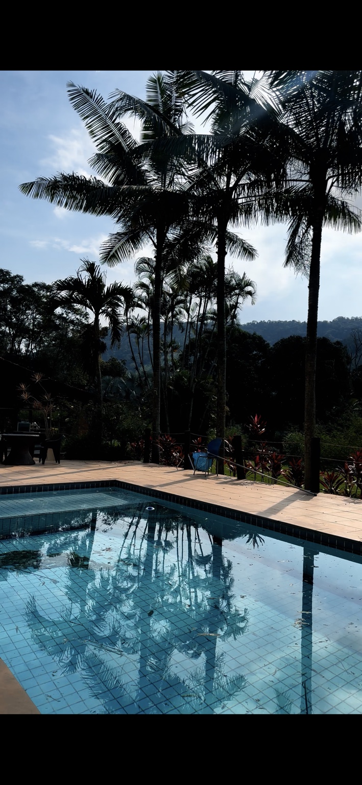 Piscina com vista para palmeiras e montanhas